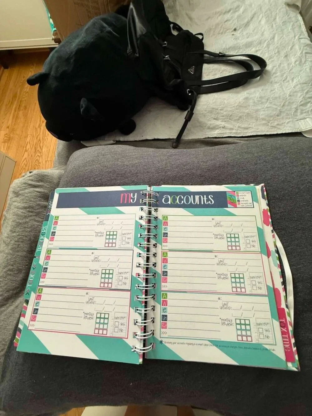 Denise Albright Budget Binder™ Undated 12-Month Budget Planner Workbook